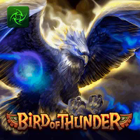 BIRD OF THUNDER